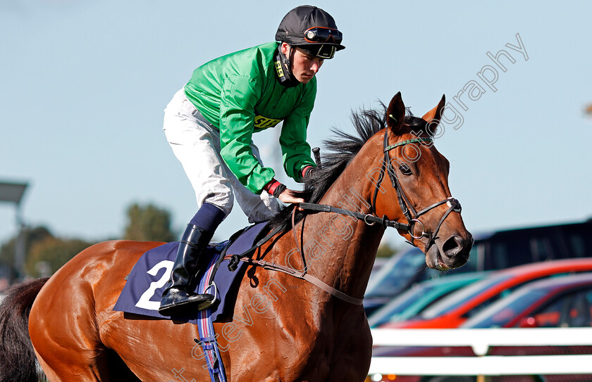 Eynhallow-0002 
 EYNHALLOW (Kieran Shoemark) Yarmouth 19 Sep 2017 - Pic Steven Cargill / Racingfotos.com