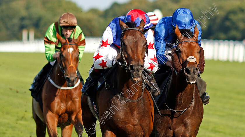 Great-Hall-0004 
 GREAT HALL (centre, Fran Berry) beats ALQAMAR (right) in The Victoria Racing Club Handicap Ascot 8 Sep 2017 - Pic Steven Cargill / Racingfotos.com