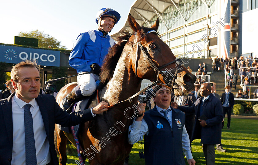 Anmaat-0017 
 ANMAAT (Jim Crowley) after The Qipco Champion Stakes
Ascot 19 Oct 2024 - Pic Steven Cargill / Racingfotos.com