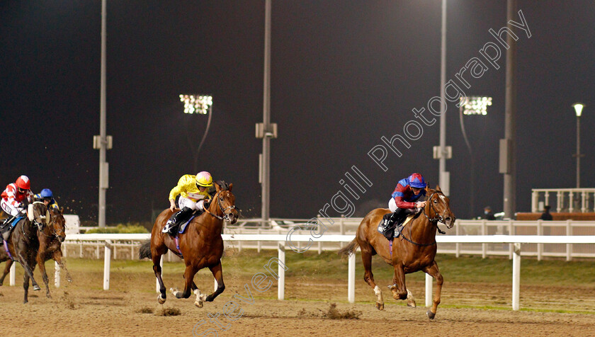 Ahlawi-0002 
 AHLAWI (James Doyle) beats ALPHONSE KARR (left) in The Racing Welfare Novice Stakes
Chelmsford 27 Nov 2020 - Pic Steven Cargill / Racingfotos.com