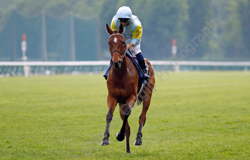 Cashanda-0001 
 CASHANDA (Mickael Barzalona)
Longchamp 12 May 2024 - Pic Steven Cargill / Racingfotos.com