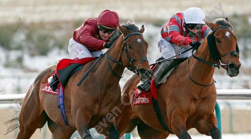 Twilight-Heir-0004 
 TWILIGHT HEIR (left, Cieren Fallon) beats CHARLIE FELLOWES (right) in The Get Your Ladbrokes Daily Odds Boost Handicap
Lingfield 13 Feb 2021 - Pic Steven Cargill / Racingfotos.com