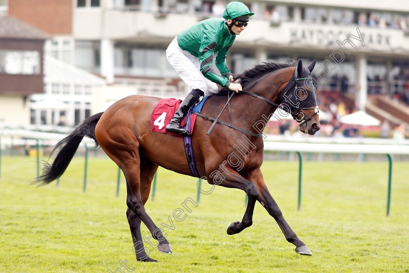 Beatboxer-0002 
 BEATBOXER (Robert Havlin) before winning The Amix Silver Bowl Handicap
Haydock 25 May 2019 - Pic Steven Cargill / Racingfotos.com