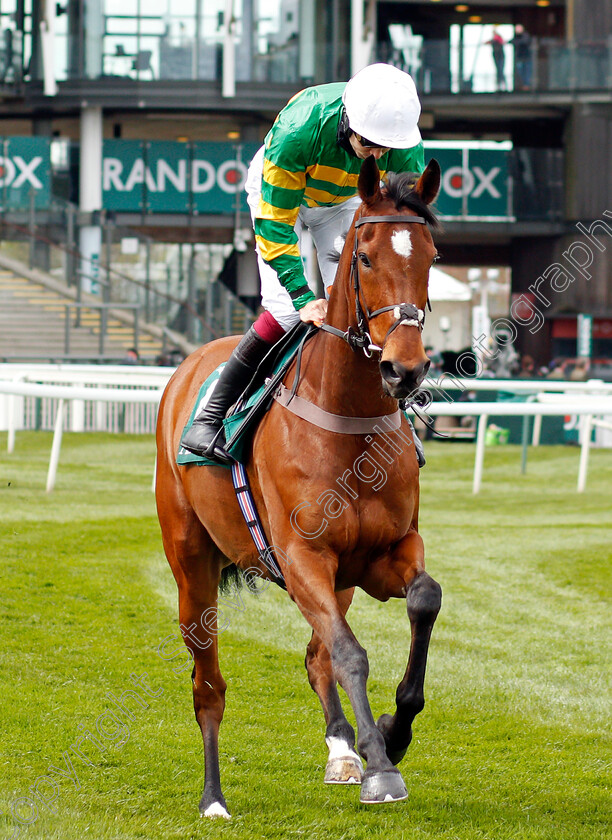 Phoenix-Way-0001 
 PHOENIX WAY (Aidan Coleman)
Aintree 8 Apr 2021 - Pic Steven Cargill / Racingfotos.com