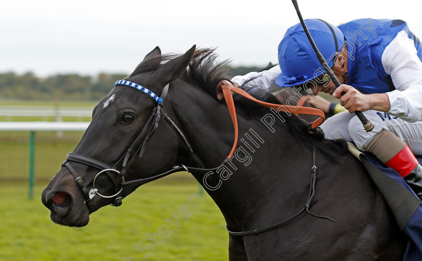 Awesometank-0003 
 AWESOMETANK (Andrea Atzeni) wins The British EBF Jersey Lily Fillies Nursery Newmarket 30 Sep 2017 - Pic Steven Cargill / Racingfotos.com