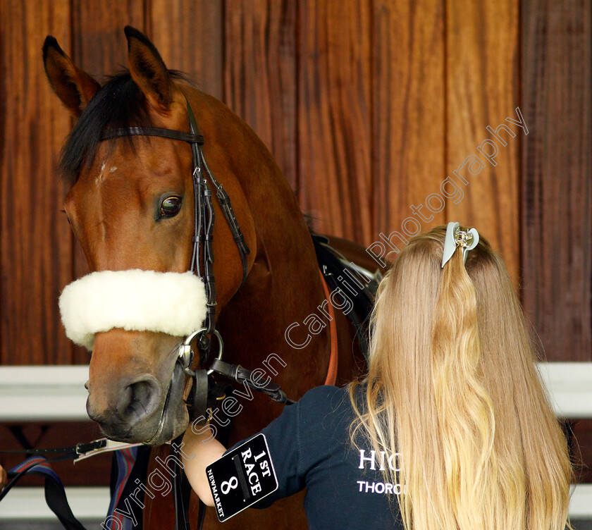 Tudor-Queen-0003 
 TUDOR QUEEN
Newmarket 26 Jun 2021 - Pic Steven Cargill / Racingfotos.com