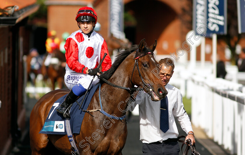 Gellhorn-0002 
 GELLHORN (Marco Ghiani)
Newmarket 23 Sep 2021 - Pic Steven Cargill / Racingfotos.com