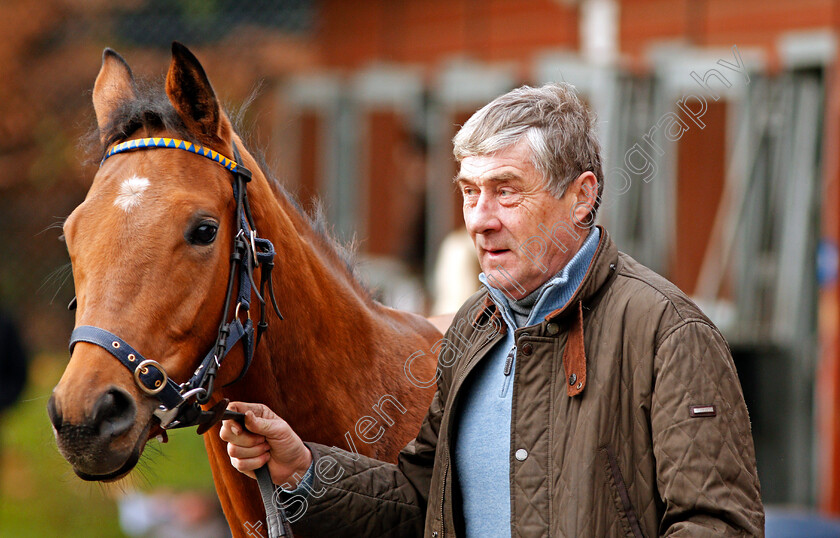 Noel-Quinlan-0001 
 NOEL QUINLAN at Tattersalls Ireland Ascot November Sale 9 Nov 2017 - Pic Steven Cargill / Racingfotos.com