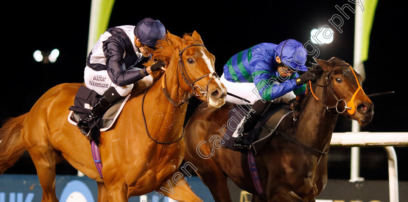 Never-Let-Go-0001 
 NEVER LET GO (left, George Downing) beats LEFT OVER LOVE (right) in The Betmgm Irish EBF Fillies Novice Stakes Div1
Wolverhampton 20 Dec 2024 - Pic Steven Cargill / Racingfotos.com