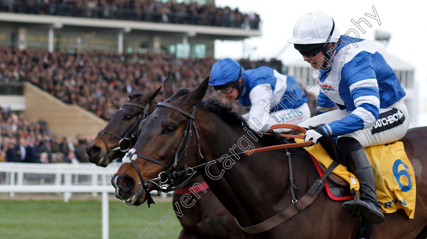 Frodon-0002 
 FRODON (right, Bryony Frost) beats ASO (left) in The Ryanair Chase
Cheltenham 14 Mar 2019 - Pic Steven Cargill / Racingfotos.com