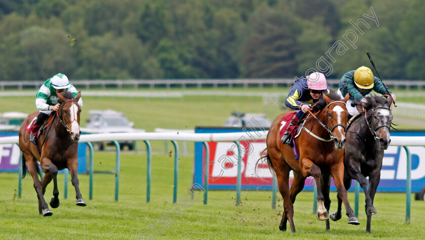 Thewind-Cries-Mary-0006 
 THEWIND CRIES MARY (2nd right, Callum Rodriguez) beats SHEMOZZLE (right) in The Oakmere Homes Supporting Macmillan Fillies Novice Stakes
Haydock 24 May 2024 - Pic Steven Cargill / Racingfotos.com