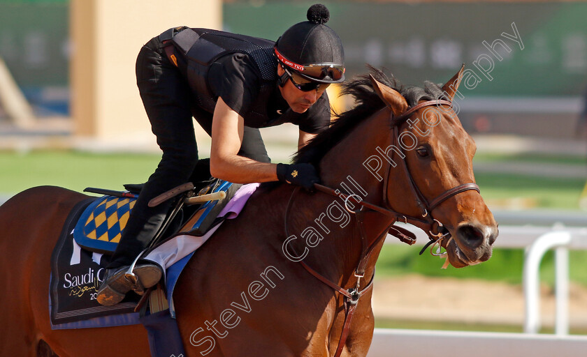 Havnameltdown-0001 
 HAVNAMELTDOWN training for The Saudi Derby
King Abdulaziz Racecourse, Kingdom Of Saudi Arabia, 23 Feb 2023 - Pic Steven Cargill / Racingfotos.com