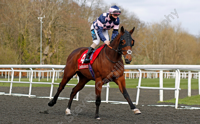 Dark-Pine-0001 
 DARK PINE (Stevie Donohoe)
Kempton 27 Mar 2021 - Pic Steven Cargill / Racingfotos.com