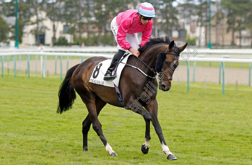 Scarlett-O Hara-0001 
 SCARLETT O'HARA (William Buick)
Deauville 13 Aug 2023 - Pic Steven Cargill / Racingfotos.com