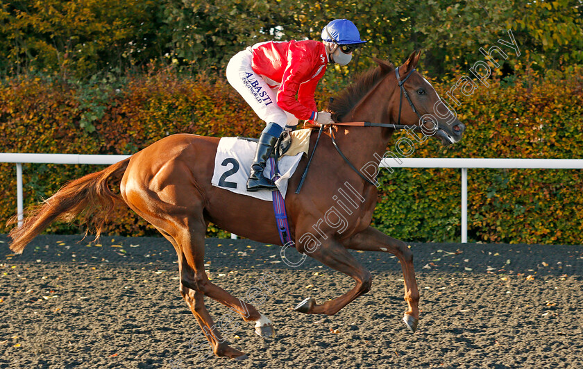 Lights-On-0002 
 LIGHTS ON (Kevin Stott)
Kempton 2 Nov 2020 - Pic Steven Cargill / Racingfotos.com