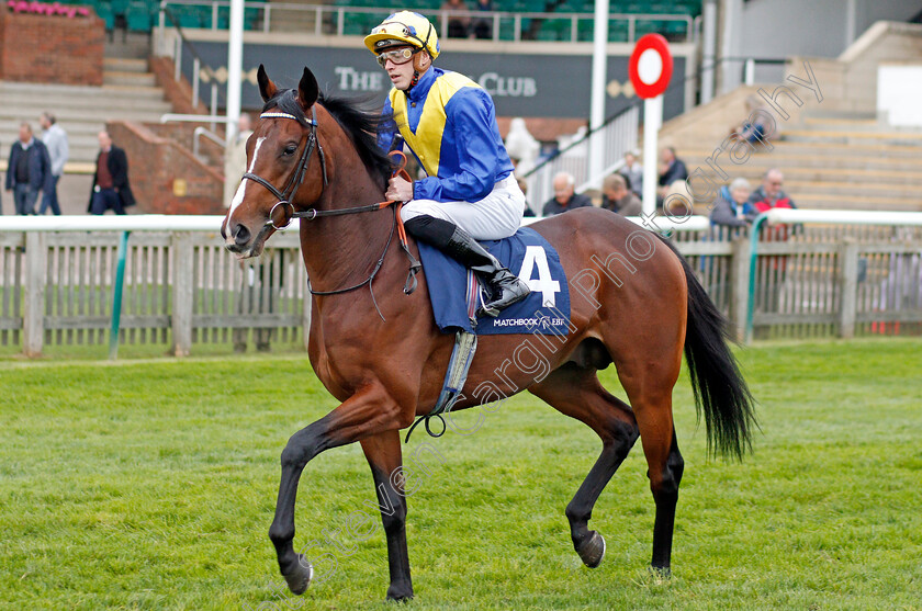 King s-Castle-0001 
 KING'S CASTLE (James Doyle)
Newmarket 23 Oct 2019 - Pic Steven Cargill / Racingfotos.com