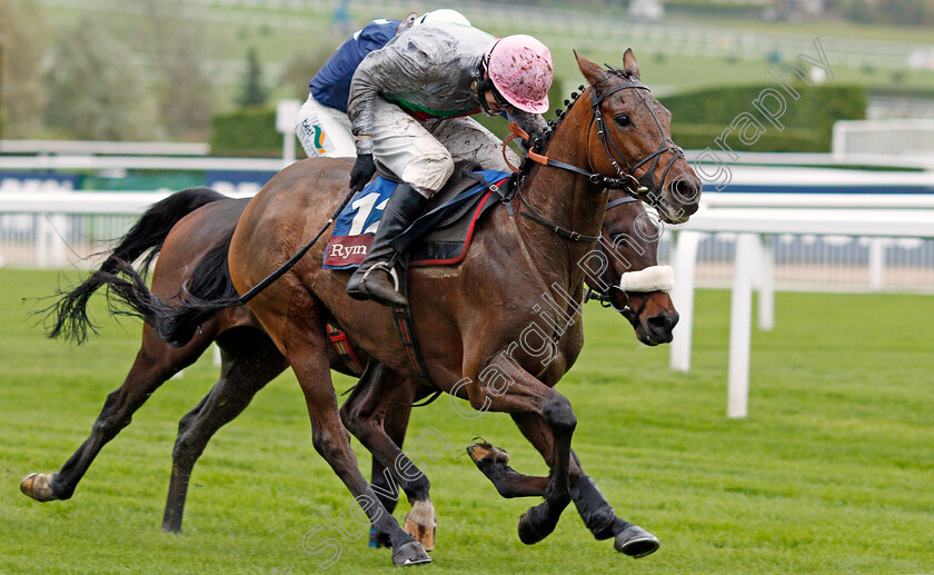 Petite-Power-0002 
 PETITE POWER (Liam Harrison) wins The Ryman Stationery Cheltenham Business Club Amateur Riders Handicap Chase
Cheltenham 25 Oct 2019 - Pic Steven Cargill / Racingfotos.com