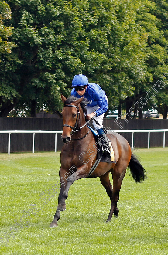 Art-Of-Magic 
 ART OF MAGIC (William Buick)
Newmarket 30th July 2022 - Pic Steven Cargill / Racingfotos.com