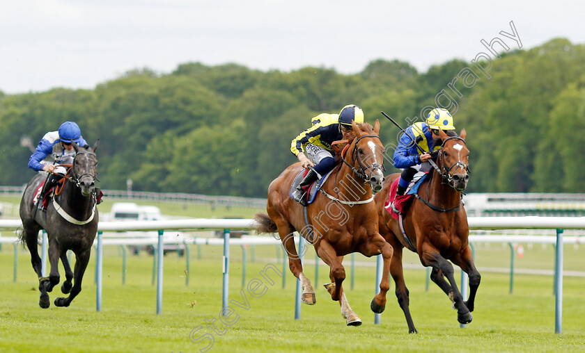 Whoputfiftyinyou-0003 
 WHOPUTFIFTYINYOU (centre, David Probert) beats MIGHTY ULYSSES (right) in The Cazoo Silver Bowl Handicap
Haydock 21 May 2022 - Pic Steven Cargill / Racingfotos.com