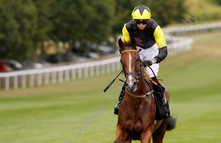 Wajd-0001 
 WAJD (Louis Steward) winner of The racingtv.com Handicap
Newmarket Jul 2022 - Pic Steven Cargill / Racingfotos.com