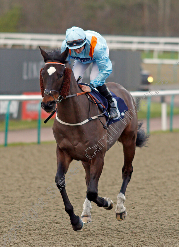 Lexington-Law-0001 
 LEXINGTON LAW (Tom Marquand) winner of The Betway Casino Handicap Lingfield 30 Dec 2017 - Pic Steven Cargill / Racingfotos.com