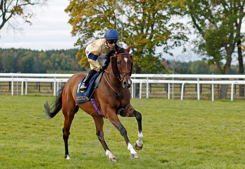 Outbox-0003 
 OUTBOX (Hollie Doyle)
Bro Park 18 Sep 2022 - Pic Steven Cargill / Racingfotos.com