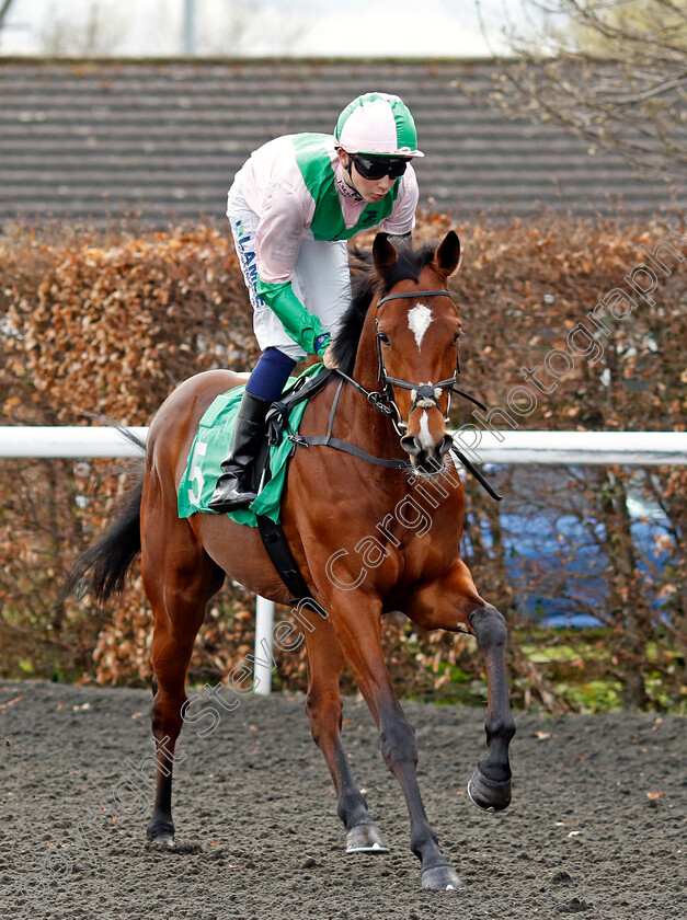 Great-Chieftain-0001 
 GREAT CHIEFTAIN (Billy Loughnane)
Kempton 3 Apr 2024 - Pic Steven Cargill / Racingfotos.com