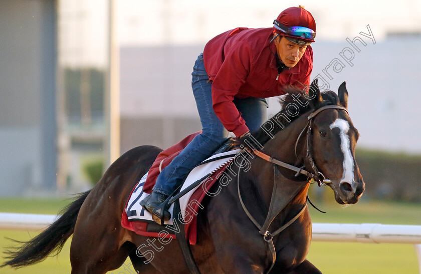 Sky-Hawk-0002 
 SKY HAWK training at the Dubai Racing Carnival
Meydan 22 Jan 2025 - Pic Steven Cargill / Racingfotos.com