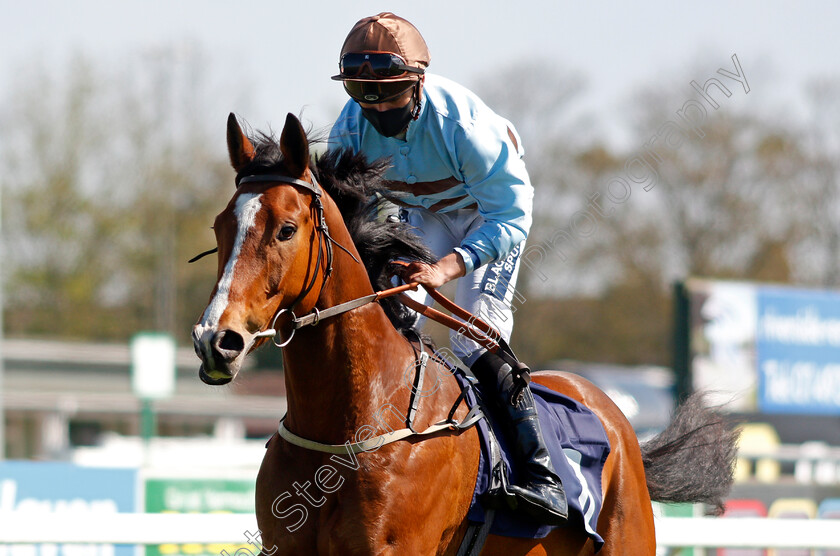 Dereham-0006 
 DEREHAM (Thore Hammer Hansen) winner of The Quinnbet 25% Back As A Free Bet Handicap Div2
Yarmouth 19 May 2021 - Pic Steven Cargill / Racingfotos.com