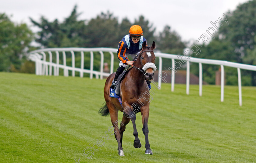 Nate-The-Great 
 NATE THE GREAT (Hollie Doyle)
Sandown 26 May 2022 - Pic Steven Cargill / Racingfotos.com