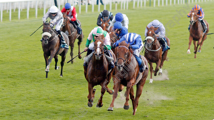 Molatham-0001 
 MOLATHAM (right, Jim Crowley) beats CELTIC ART (left) in The British Stallion Studs EBF Convivial Maiden Stakes
York 23 Aug 2019 - Pic Steven Cargill / Racingfotos.com