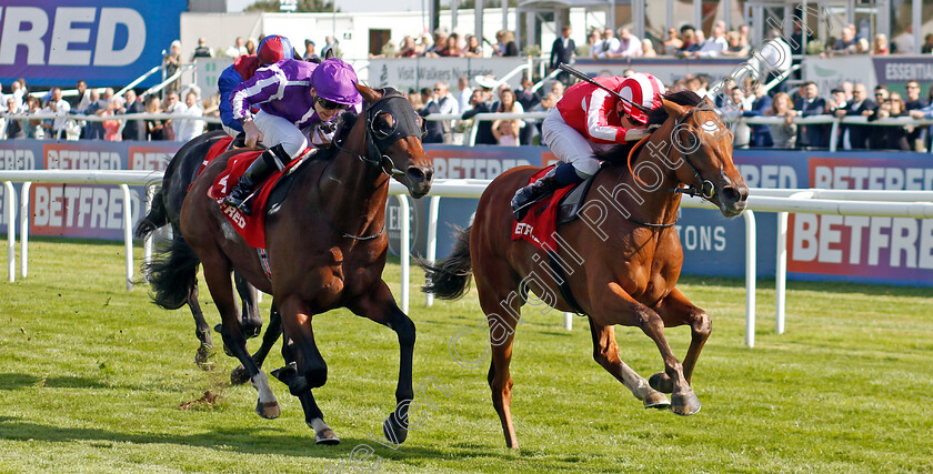 Bay-City-Roller-0005 
 BAY CITY ROLLER (Callum Shepherd) beats MONUMENTAL (left) in The Betfred Champagne Stakes
Doncaster 14 Sep 2024 - Pic Steven Cargill / Racingfotos.com