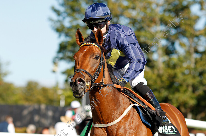 Jumbly-0001 
 JUMBLY (Hollie Doyle)
Newmarket 24 Sep 2021 - Pic Steven Cargill / Racingfotos.com