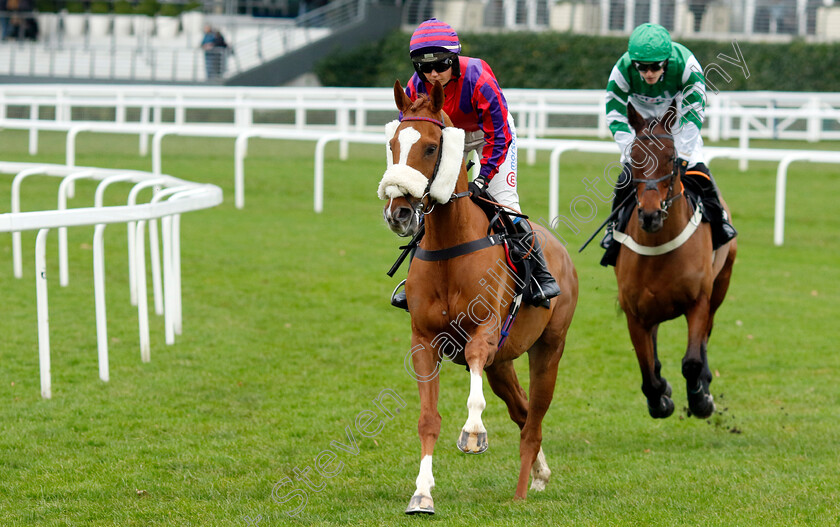 Thank-You-Ma am-0008 
 THANK YOU MA'AM (Olive Nicholls) winner of The Thames Materials Novices Handicap Hurdle
Ascot 21 Dec 2024 - Pic Steven Cargill / Racingfotos.com