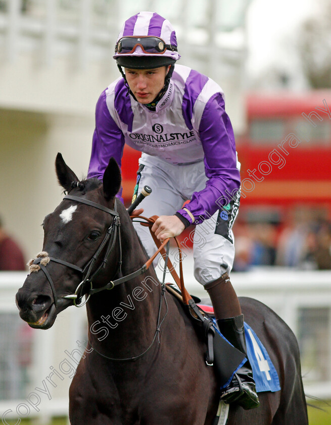 Flintrock-0002 
 FLINTROCK (Joshua Bryan) Salisbury 29 Apr 2018 - Pic Steven Cargill / Racingfotos.com