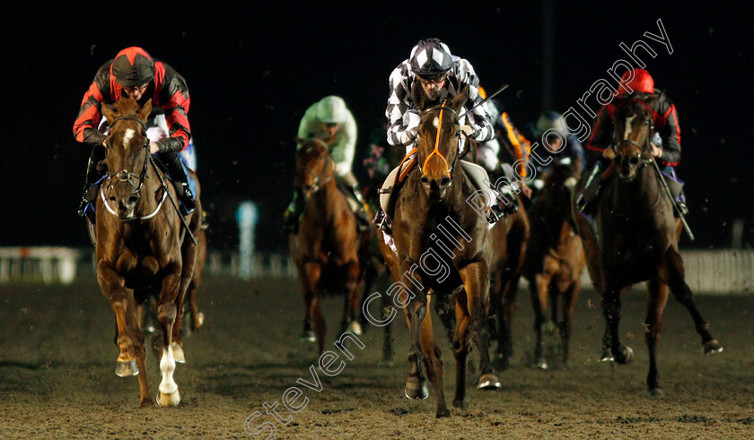 Cry-Havoc-0002 
 CRY HAVOC (centre, Rob Hornby) beats LAPSES LINGUAE (left) in The 32Red Casino Fillies Novice Auction Stakes
Kempton 20 Nov 2019 - Pic Steven Cargill / Racingfotos.com