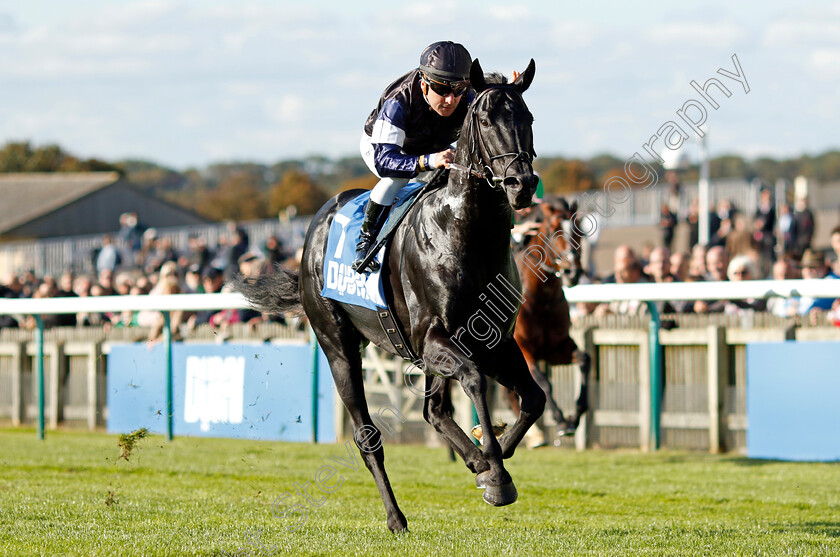 Topgear-0004 
 TOPGEAR (Stephane Pasquier) wins The Thoroughbred Industry Employee Awards Challenge Stakes
Newmarket 11 Oct 2024 - pic Steven Cargill / Racingfotos.com