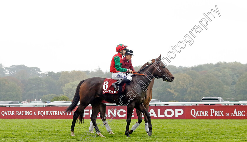 Vertical-Blue-0005 
 VERTICAL BLUE (A Pouchin) winner of The Qatar Prix Marcel Boussac
Longchamp 6 Oct 2024 - Pic Steven Cargill / Racingfotos.com