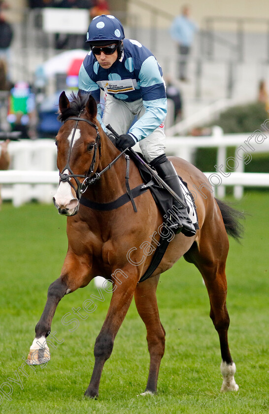 Juventus-De-Brion-0001 
 JUVENTUS DE BRION (Harry Skelton)
Ascot 17 Feb 2024 - Pic Steven Cargill / Racingfotos.com