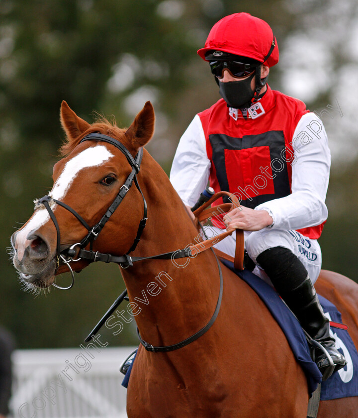 Bonnie-Lad-0001 
 BONNIE LAD (Jack Mitchell)
Lingfield 19 Dec 2020 - Pic Steven Cargill / Racingfotos.com