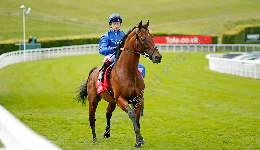 Benbatl-0001 
 BENBATL (Oisin Murphy)
Goodwood 28 Aug 2021 - Pic Steven Cargill / Racingfotos.com