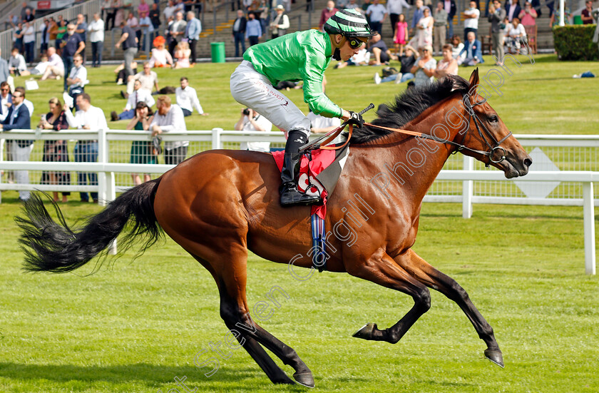 Vino-Victrix-0006 
 VINO VICTRIX (Jason Watson) wins The Davies Group Handicap
Sandown 2 Jul 2021 - Pic Steven Cargill / Racingfotos.com