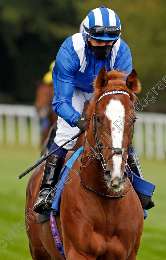 Moktasaab-0001 
 MOKTASAAB (Jim Crowley)
Salisbury 1 Oct 2020 - Pic Steven Cargill / Racingfotos.com