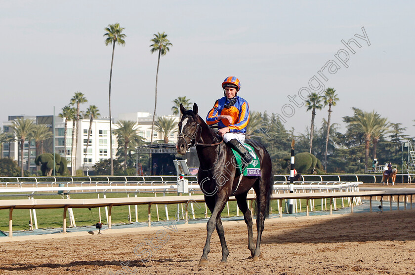 Auguste-Rodin-0014 
 AUGUSTE RODIN (Ryan Moore) winner of The Breeders' Cup Turf
Santa Anita 4 Nov 2023 - pic Steven Cargill / Racingfotos.com