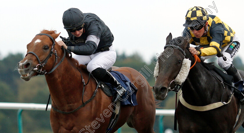 Roundabout-Magic-0001 
 ROUNDABOUT MAGIC (left, Nicky Mackay) with MERCERS (right, Jason Watson)
Lingfield 4 Oct 2018 - Pic Steven Cargill / Racingfotos.com