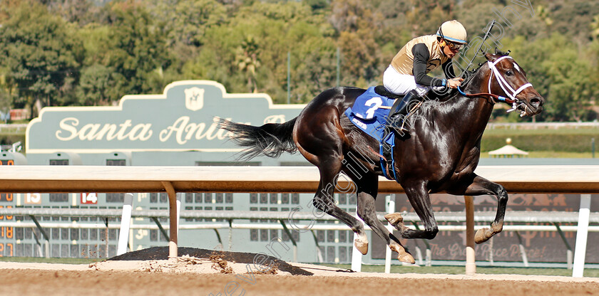 Tap-Back-0002 
 TAP BACK (Victor Espinoza) wins The Golden State Juvenile
Santa Anita USA 1 Nov 2019 - Pic Steven Cargill / Racingfotos.com