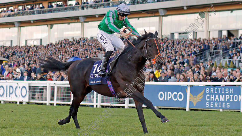 King-Of-Change-0006 
 KING OF CHANGE (Sean Levey) wins The Queen Elizabeth II Stakes
Ascot 19 Oct 2019 - Pic Steven Cargill / Racingfotos.com