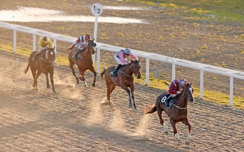 Estrela-Star-0001 
 ESTRELA STAR (Kieran O'Neill) wins The Book Online At chelmsfordcityracecourse.com Handicap
Chelmsford 11 Feb 2020 - Pic Steven Cargill / Racingfotos.com