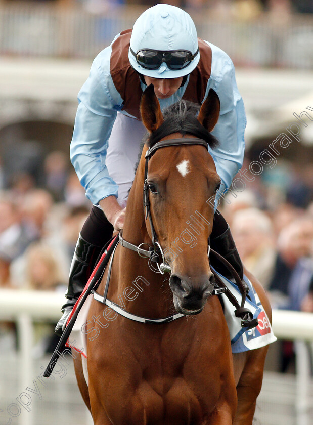 Fairyland-0001 
 FAIRYLAND (Ryan Moore) before winning The Sky Bet Lowther Stakes
York 23 Aug 2018 - Pic Steven Cargill / Racingfotos.com