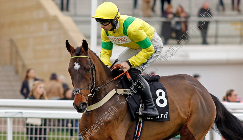 Leader-In-The-Park-0001 
 LEADER IN THE PARK (Ben Jones)
Cheltenham 17 Nov 2024 - Pic Steven Cargill / Racingfotos.com